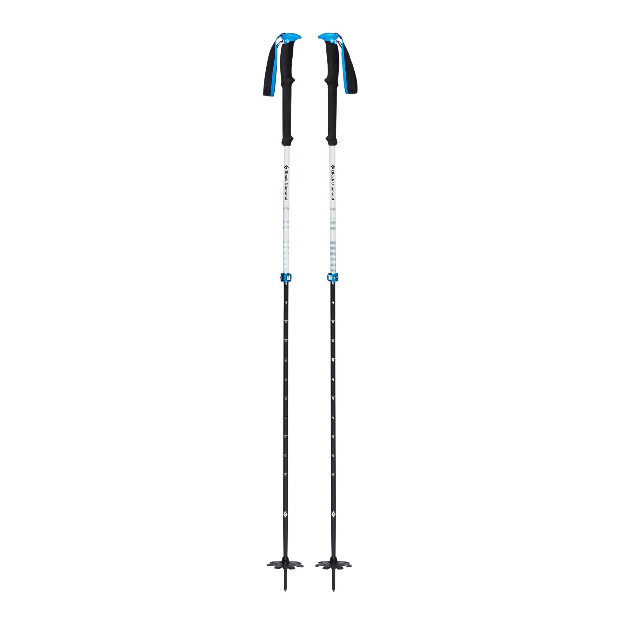 Black Diamond Expedition 2 Pro Ski Poles Schwarz - Weiss- Ski- und Tourenstcke- Grsse 145 cm - Farbe Kingfisher
