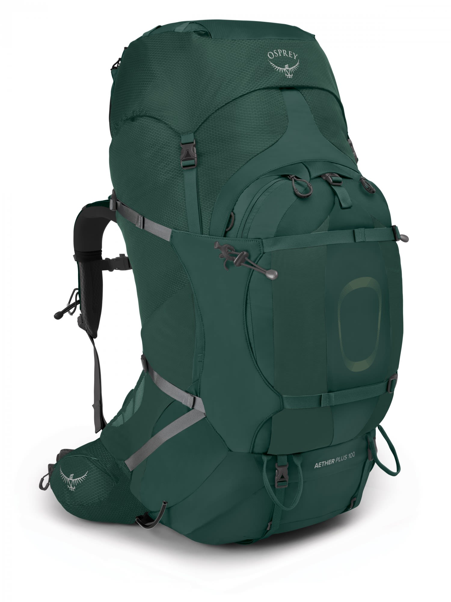 Osprey Aether Plus 100 Grn- Male Alpin- und Trekkingruckscke- Grsse S-M - Farbe Axo Green